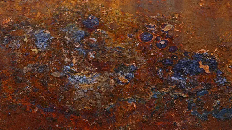 Rost (03)