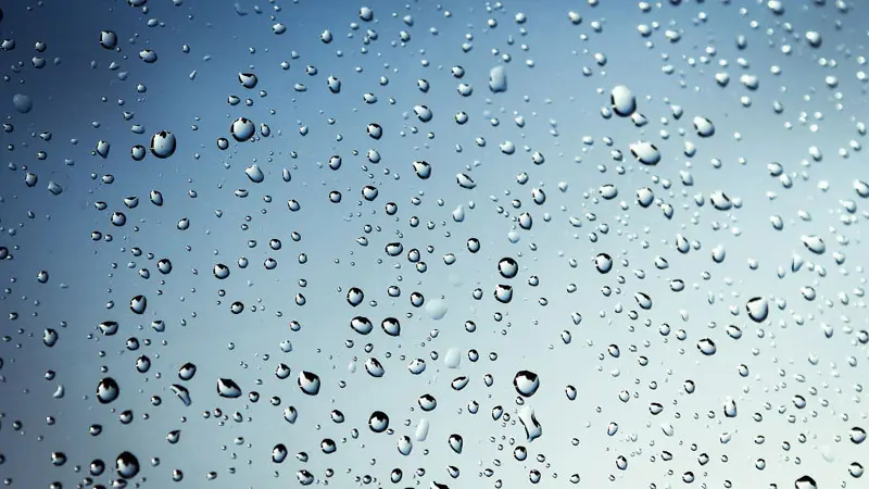 Regen (01)