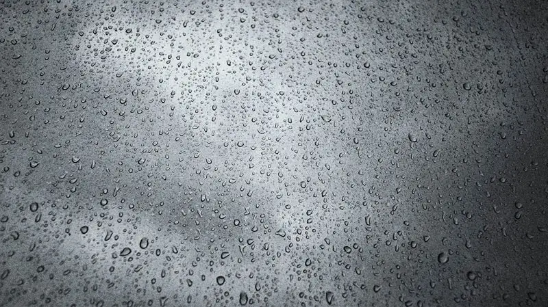 Regen (02)